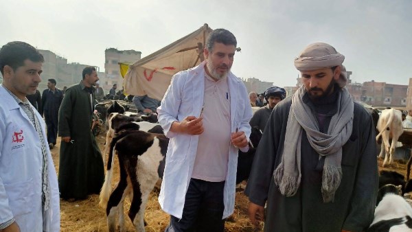 بيطري الشرقية 