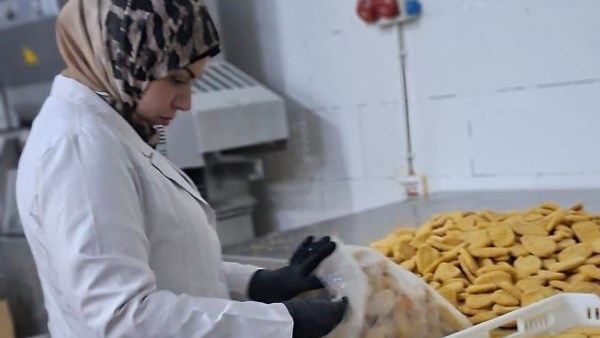 بيطري الشرقية 