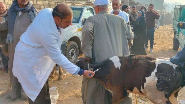 بيطري الشرقية 