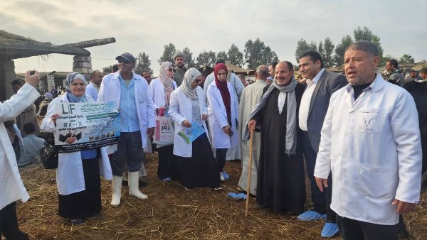 بيطري الشرقية 