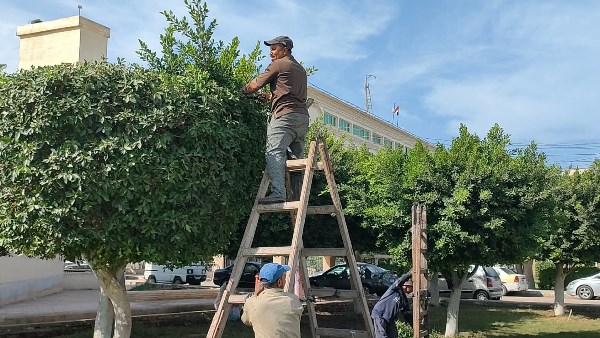 رفع كفاءة الحدائق والمتنزهات 