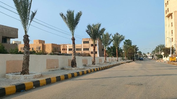 طريق مسار العائلة المقدسة بكفر الشيخ 