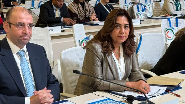 وزيرة التنمية المحلية 