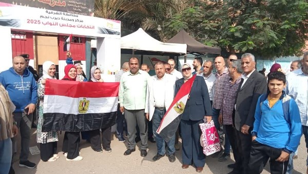 انتخابات مجلس النواب 