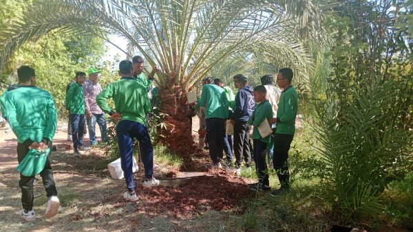 مكافحة الآفات 