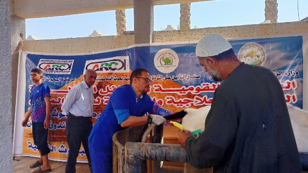 قوافل بيطرية