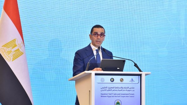 وزير الاستثمار