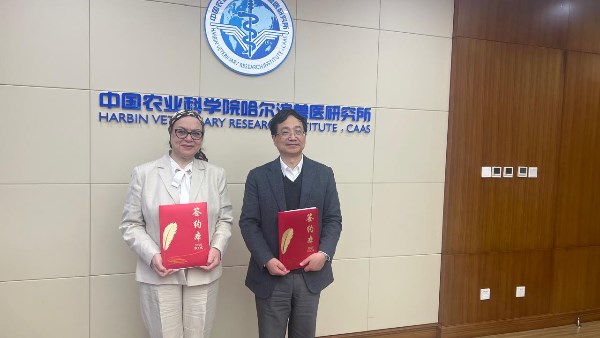 تعاون مصري صيني 