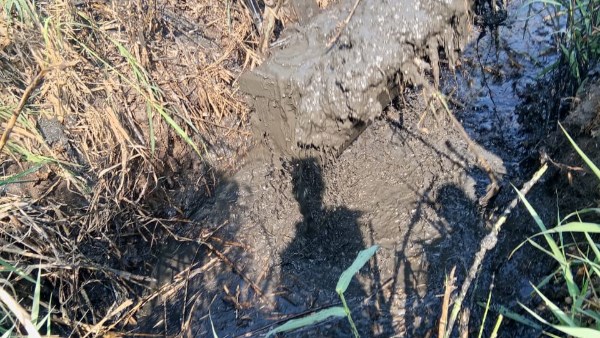 الإصلاح الزراعي