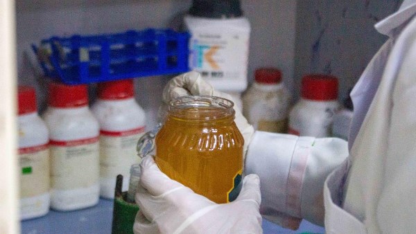 الغش عن العسل