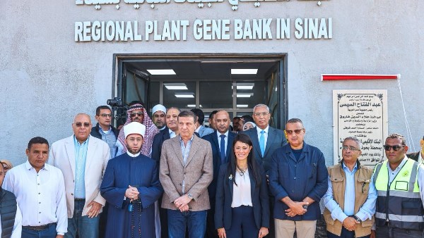 خلال الجولة