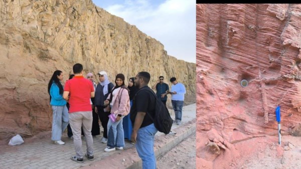 جانب من الفاعليات 