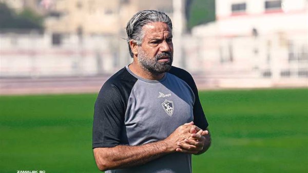 مدحت عبد الهادي 