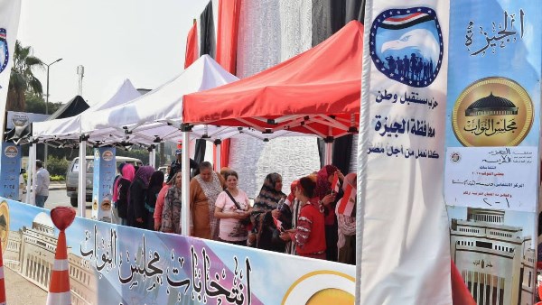 الانتخابات البرلمانية 