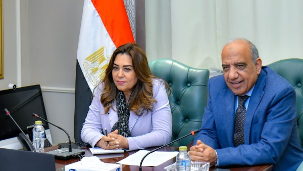 وزيرا الكهرباء والتنمية المحلية