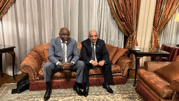 وزير الكهرباء ووزير المياه والطاقة بتشاد