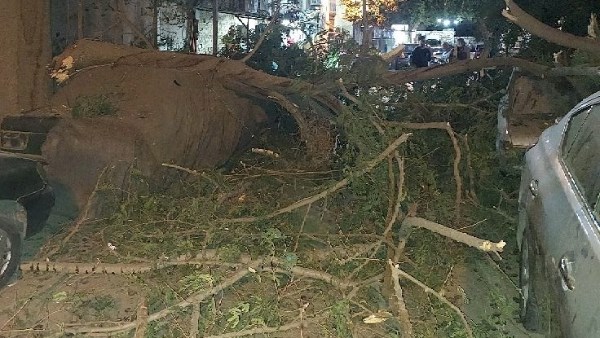 تهشم 3 سيارات