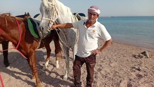 أبو موسي أشهر خيال بدهب