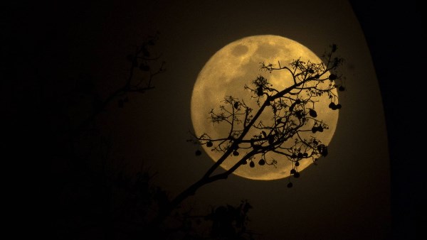 القمر العملاق