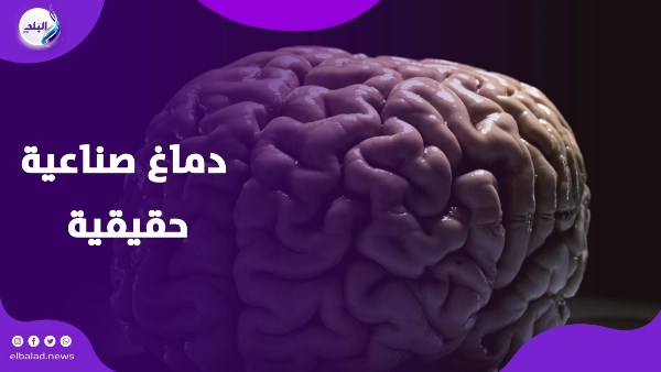 دماغ صناعية حقيقية