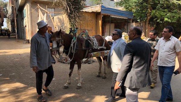 جولة تفقدية