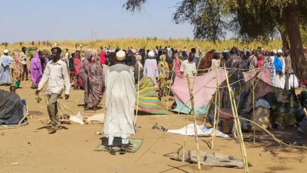 مجازرمروعة بالفاشر