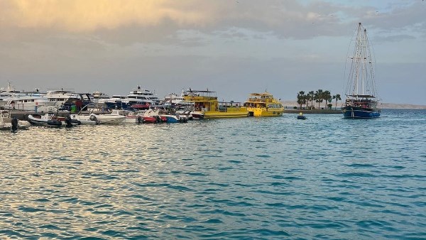 صورة موضوعية