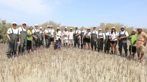 صورة موضوعية