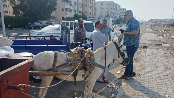 صورة موضوعية