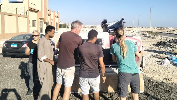 صورة موضوعية