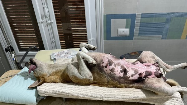 صورة ارشيفية