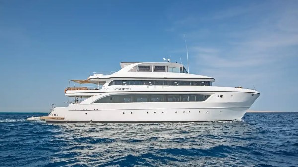 صورة موضوعية