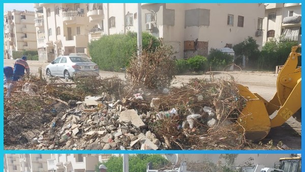 صورة موضوعية