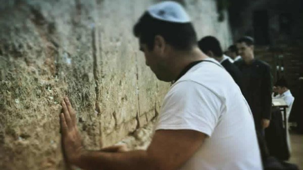  فيتور بيريرا 