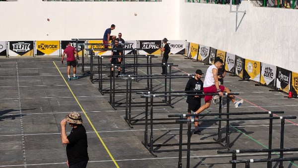 ألفيت الدولية