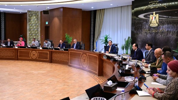 مجلس الوزراء 