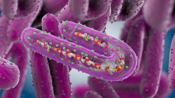 هل يتحول فيروس ماربورج إلى وباء عالمي؟ | استشاري مناعة يوضح هل يتحول فيروس ماربورج إلى وباء عالمي؟ | استشاري مناعة يوضح