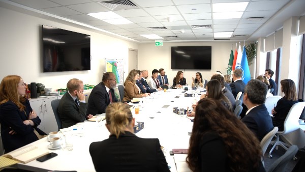 مفوضية شؤون اللاجئين في مصر 