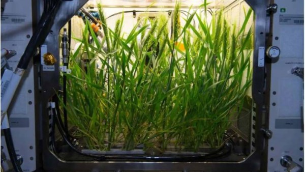 الزراعه خارج الكوكب