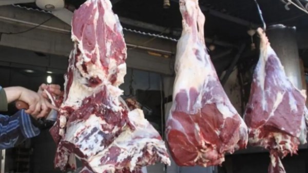 اسعار اللحوم اليوم