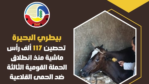 بيطرى البحيرة