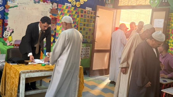 المستشار محمد حسين