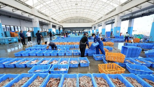 شحنات مأكولات بحرية في اليابان