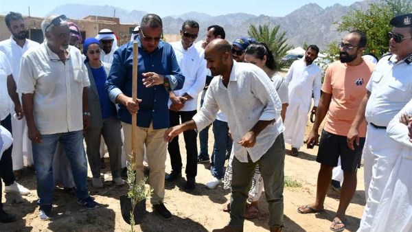 محافظ جنوب سيناء يتفقد مشروعات التنمية الزراعية البيئية في نويبع ويزرع شجرة زيتون رمزًا للسلام