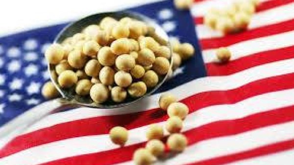 ارتفاع أسعار الحبوب الأمريكية بدعم الطلب الصيني وآمال إنهاء الإغلاق الحكومي