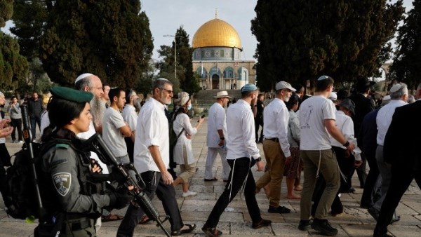 مئات المستوطنين يقتحمون باحات الأقصى وقوات الاحتلال تعتقل 26 فلسطينيا من الضفة