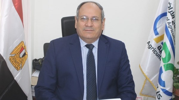 رئيس مركز البحوث الزراعية الدكتور عادل عبدالعظيم