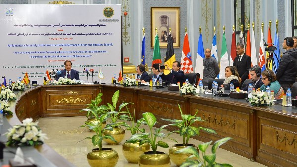 النائب محمد أبو العينين