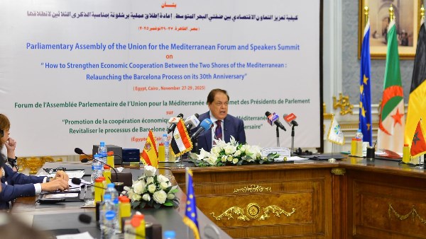  النائب محمد أبو العينين