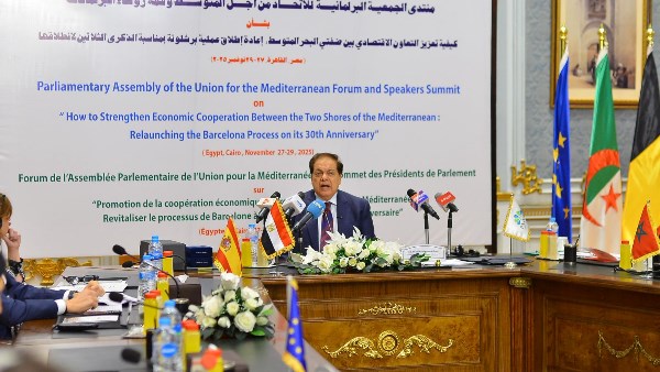 النائب محمد أبو العينين 